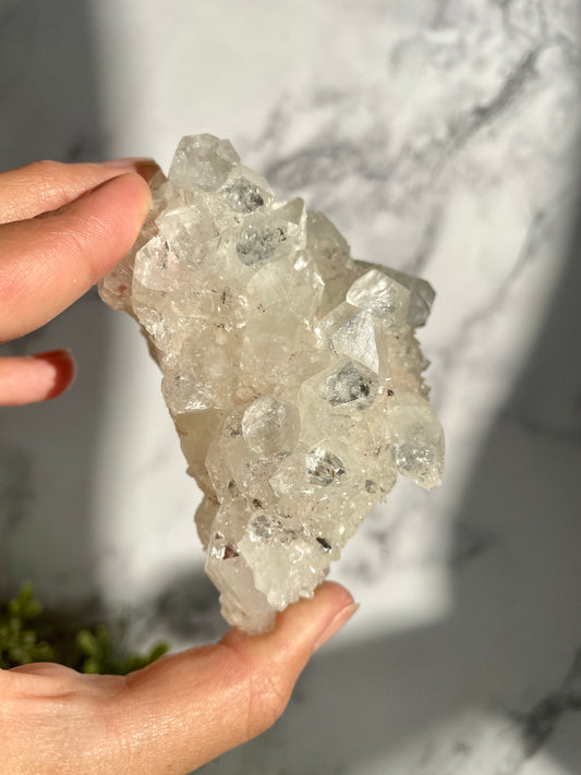 Apophyllite Crystal Cluster