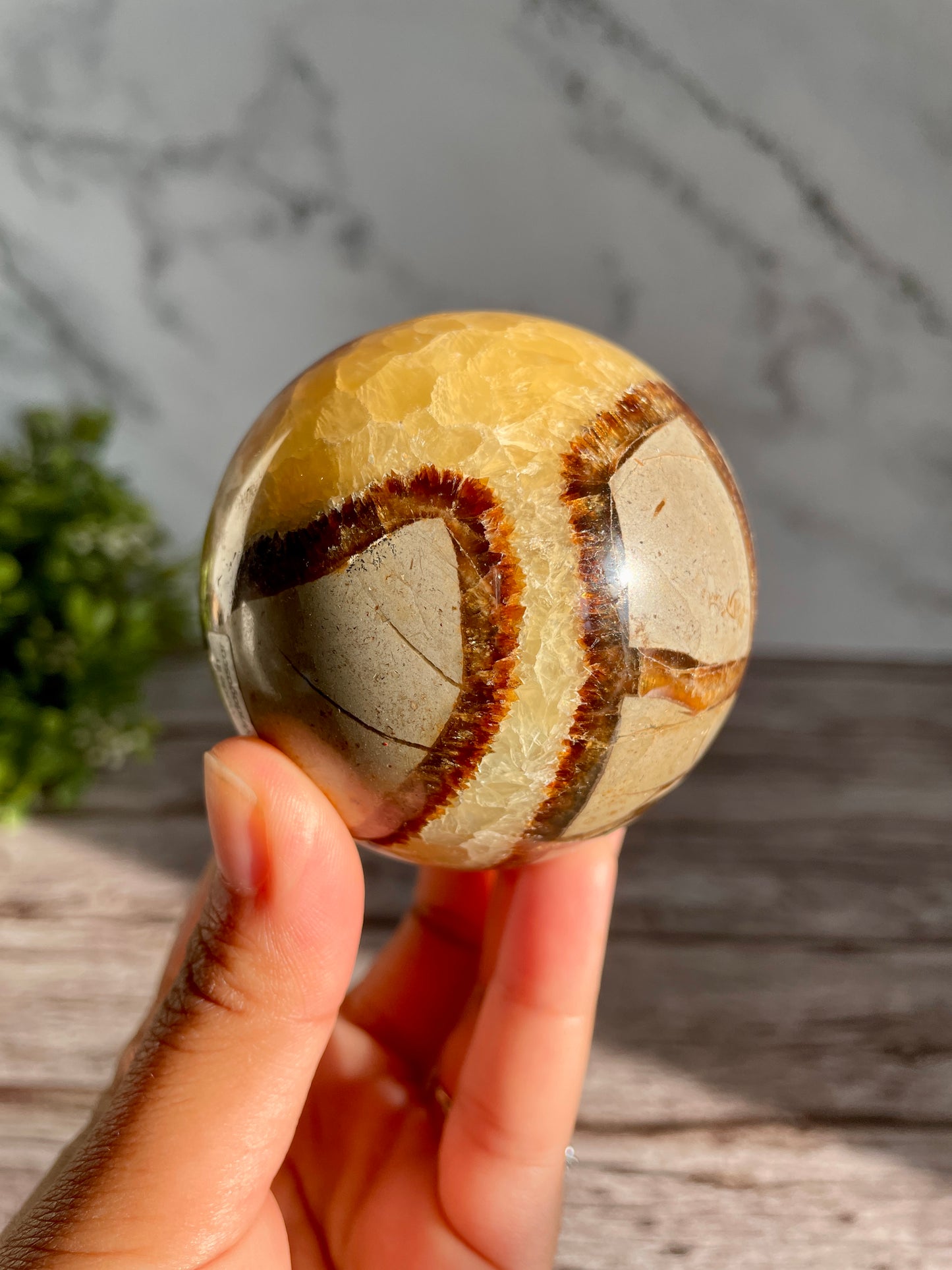 Septarian Crystal Sphere W/ A FREE Stand