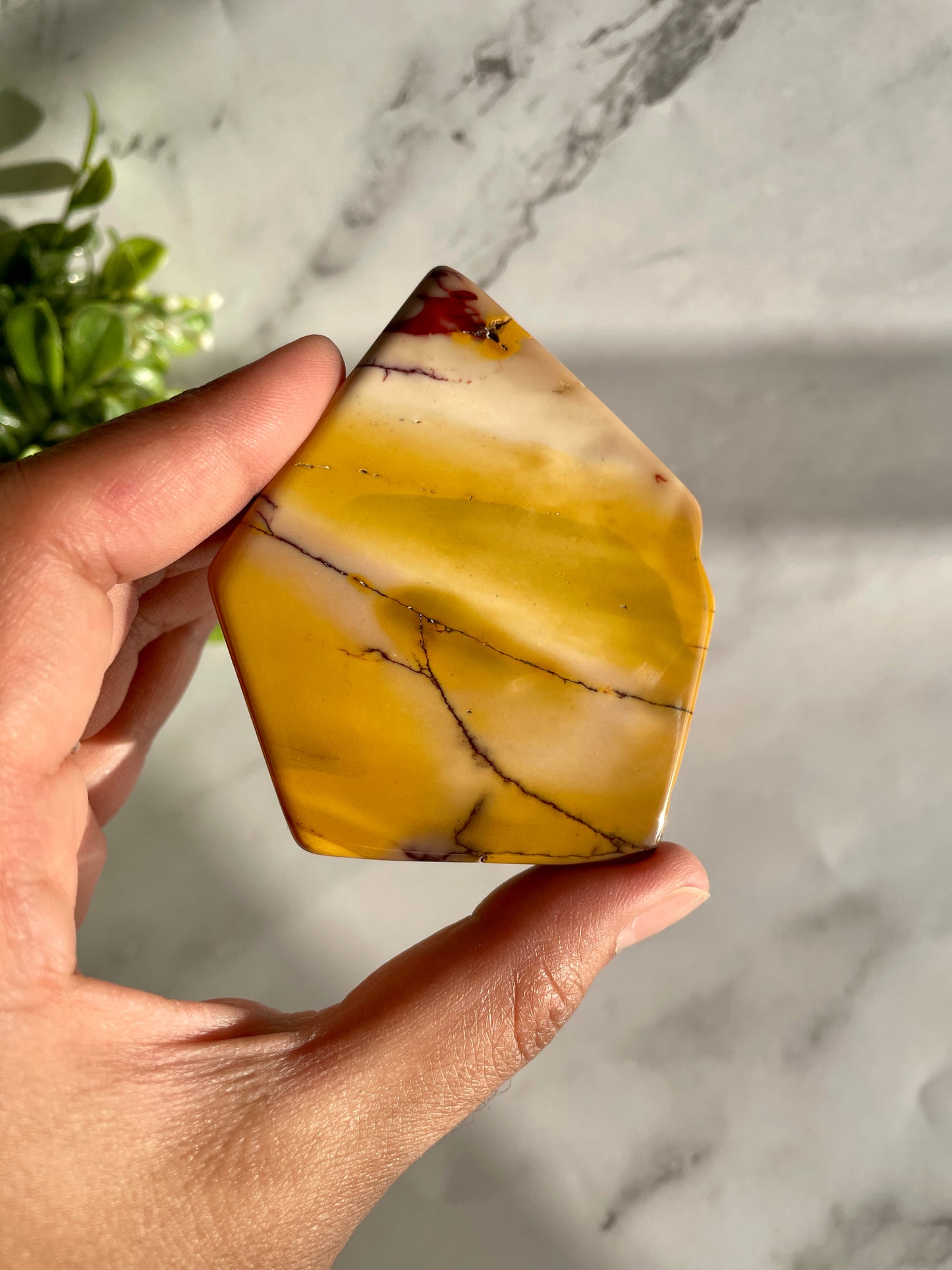 Mookaite Jasper Polished Slab Crystal