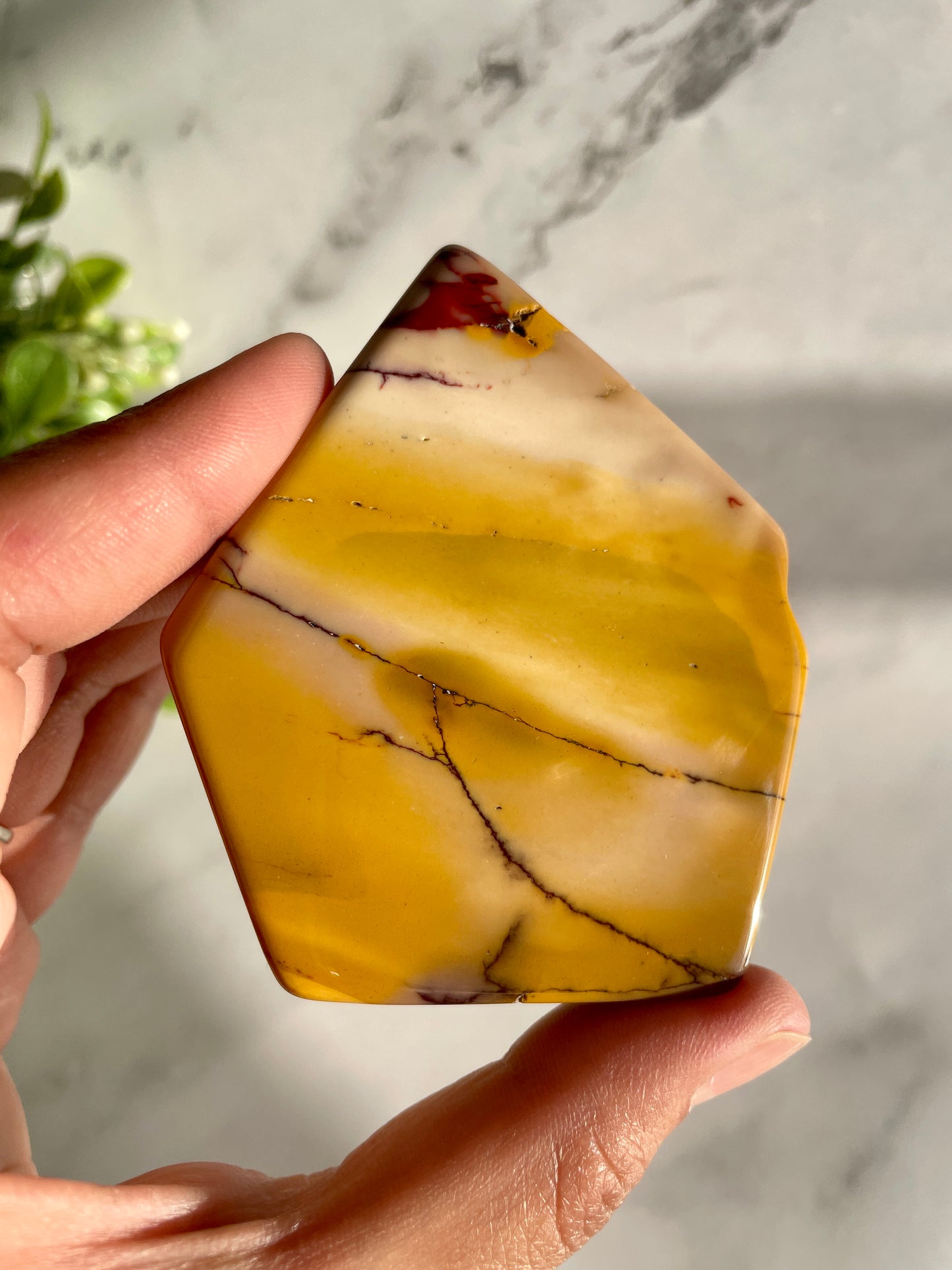 Mookaite Jasper Polished Slab Crystal