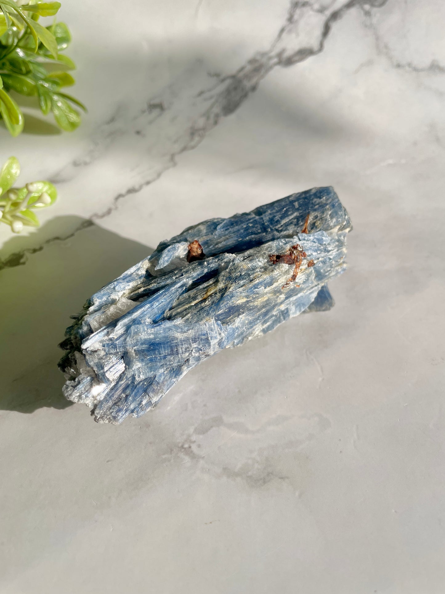 Blue Kyanite & Garnet Crystal Specimen