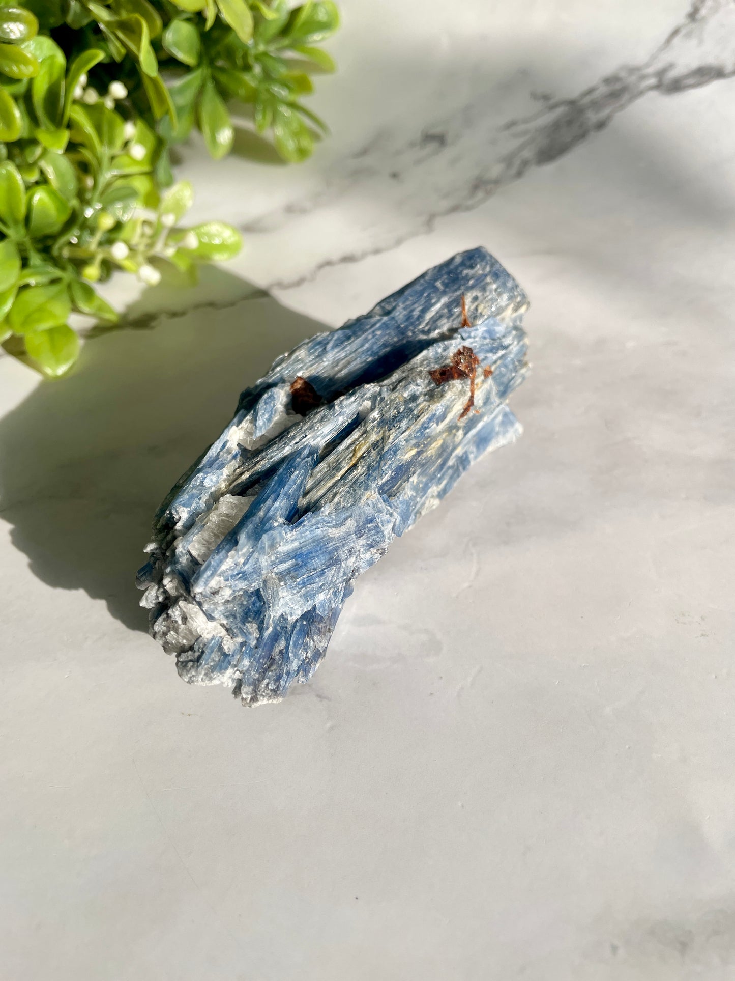 Blue Kyanite & Garnet Crystal Specimen