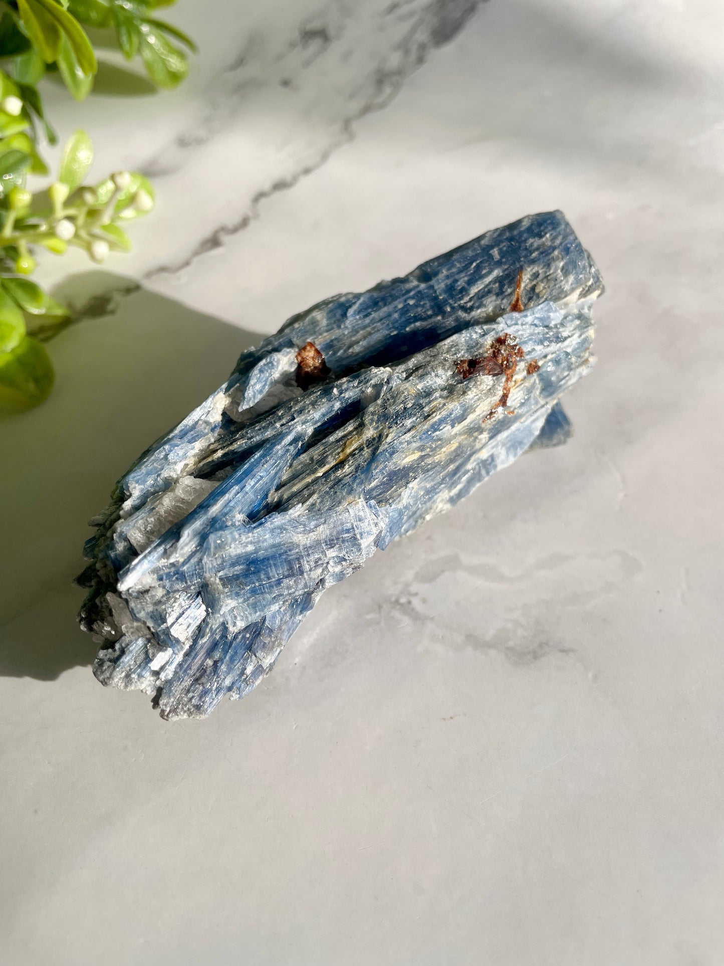 Blue Kyanite & Garnet Crystal Specimen