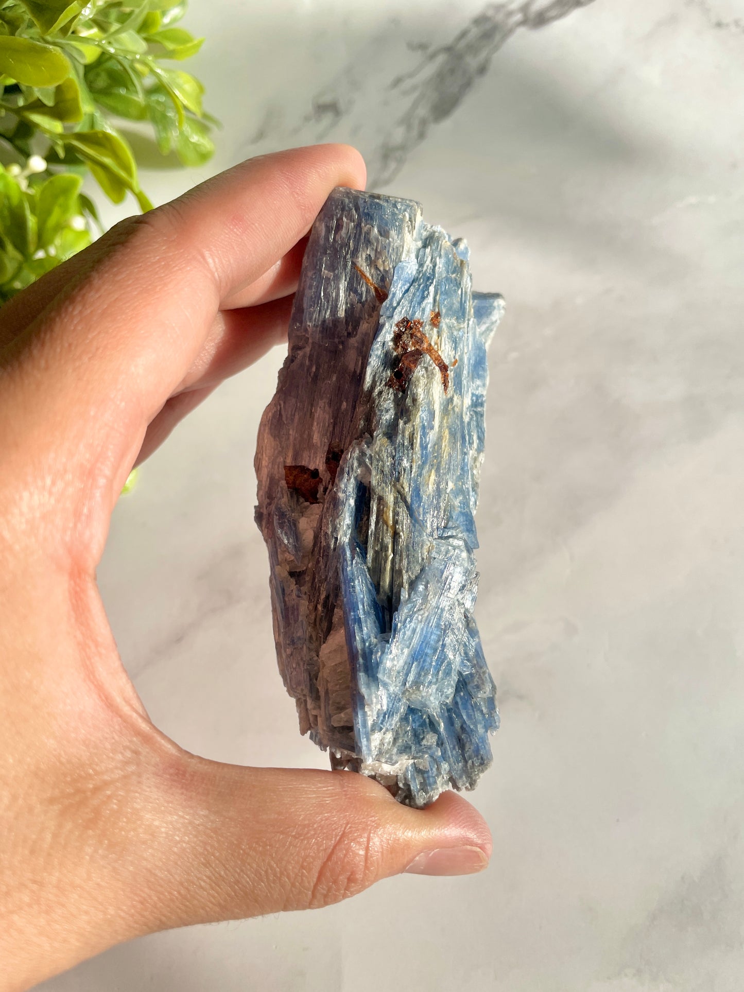 Blue Kyanite & Garnet Crystal Specimen