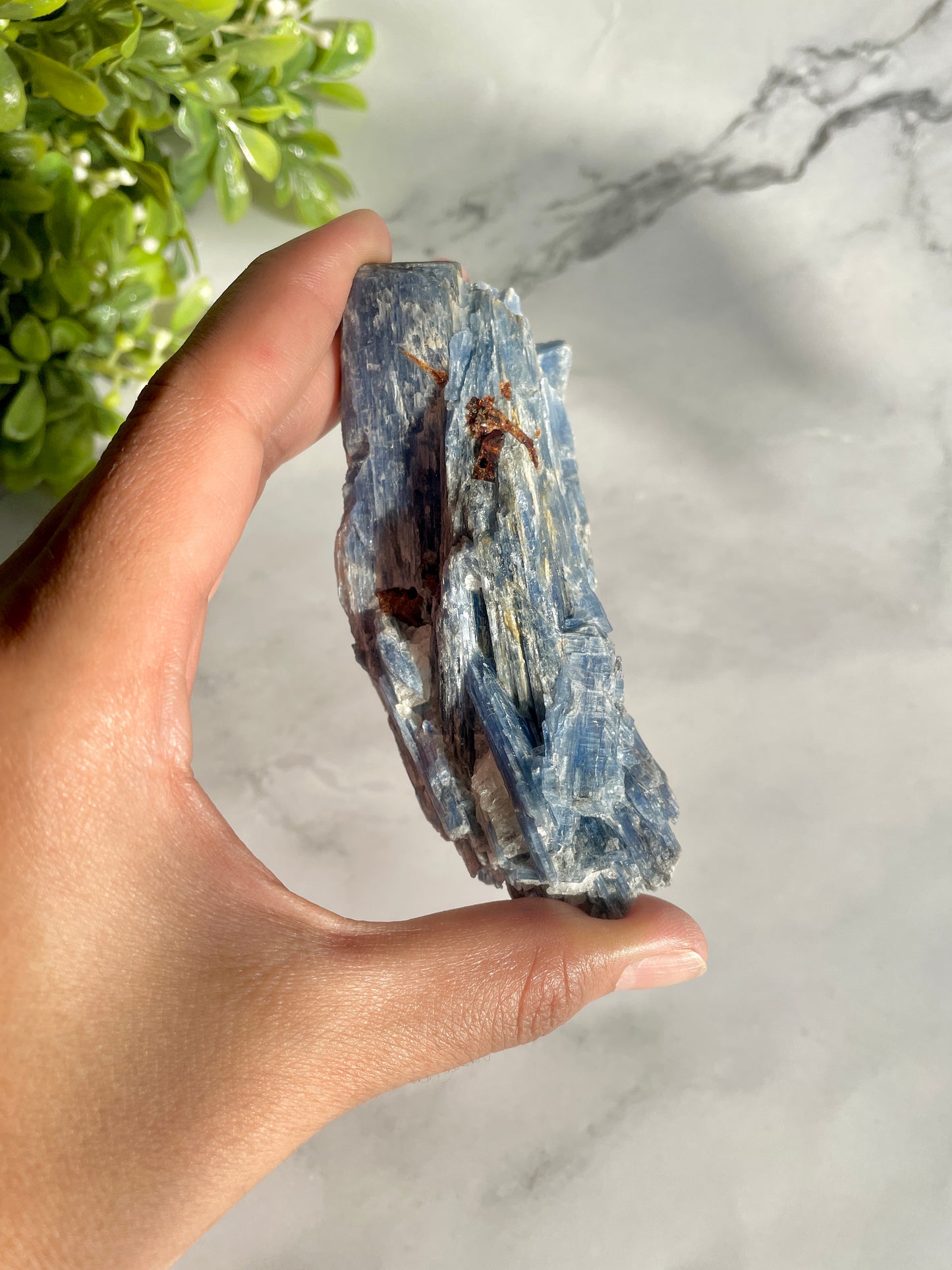 Blue Kyanite & Garnet Crystal Specimen