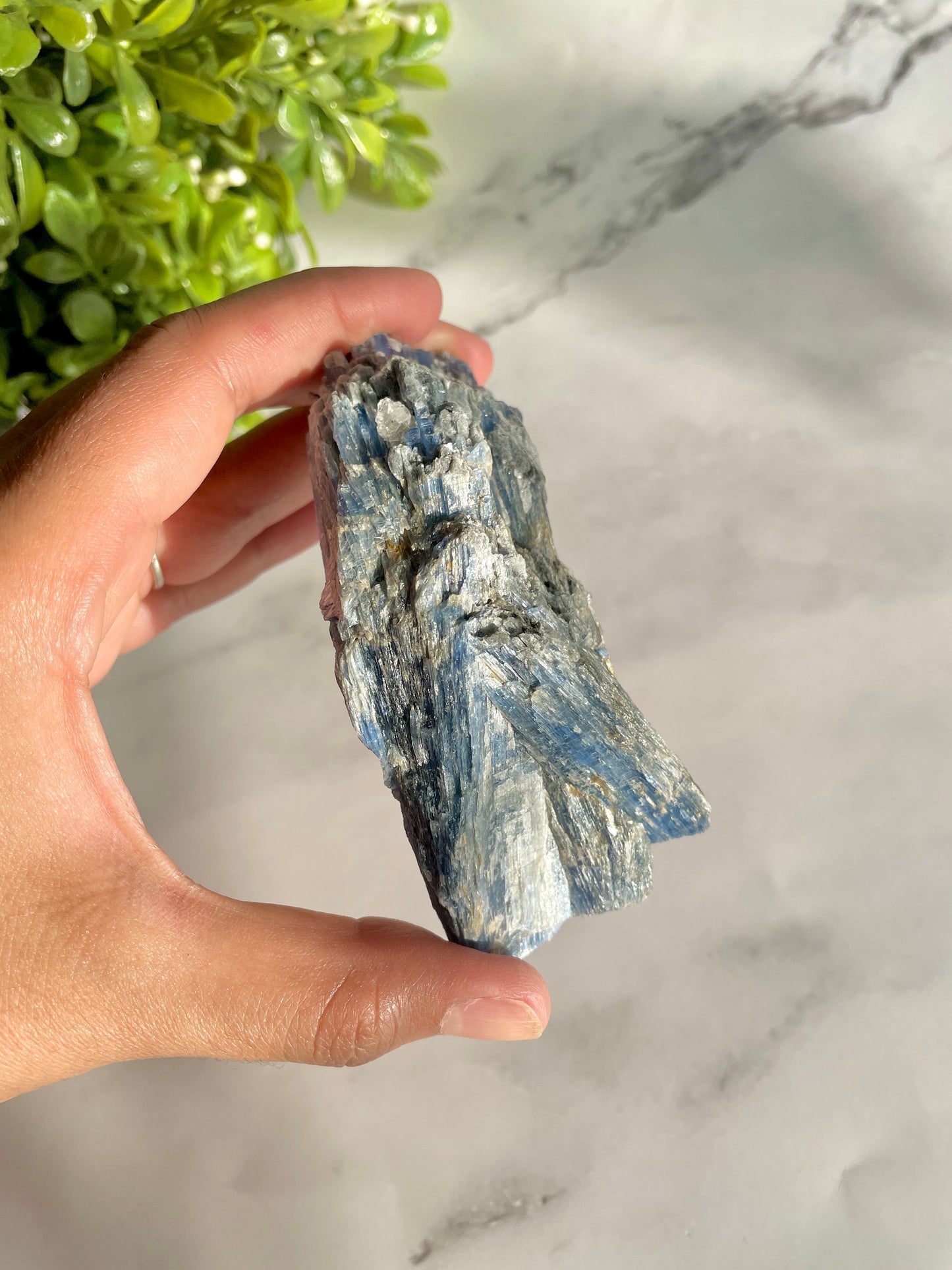 Blue Kyanite & Garnet Crystal Specimen