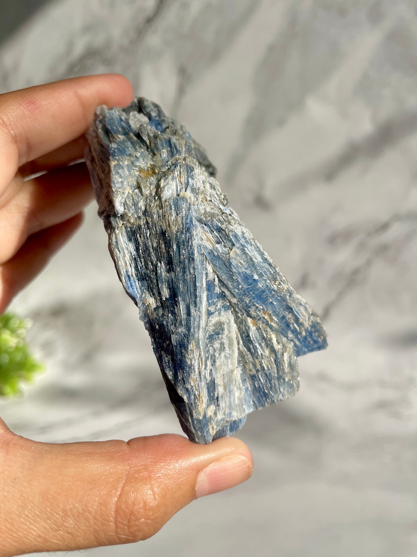 Blue Kyanite & Garnet Crystal Specimen