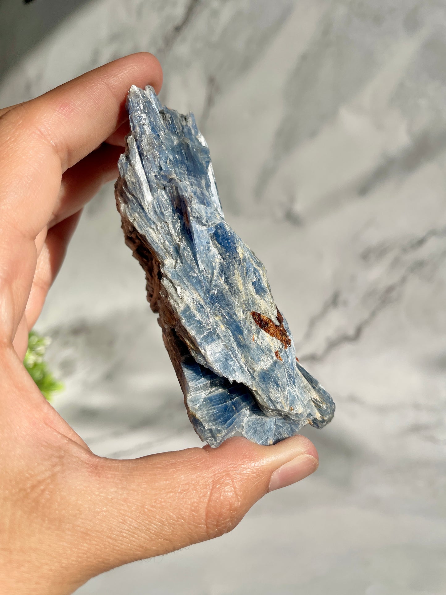 Blue Kyanite & Garnet Crystal Specimen