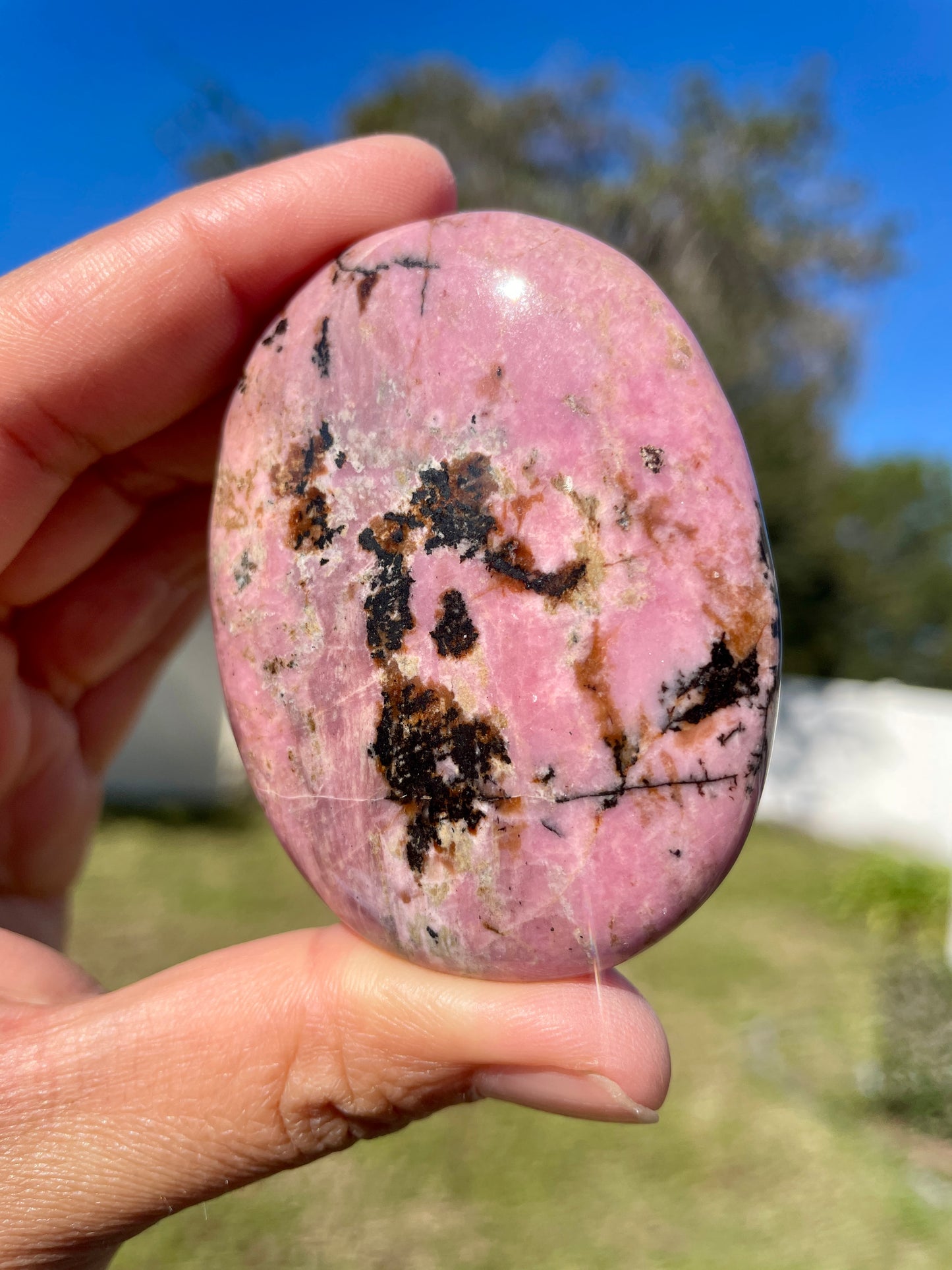 Rhodonite Palm Stone - A