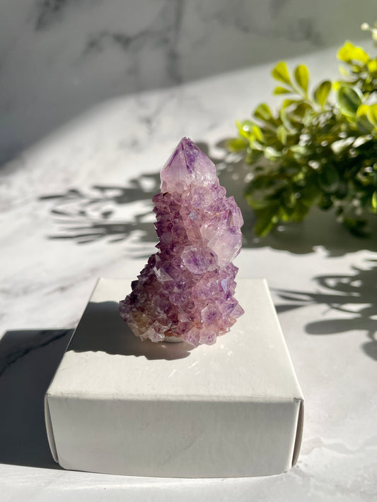 RARE South African Amethyst Spirit Cactus Quartz With Phantoms Specimen