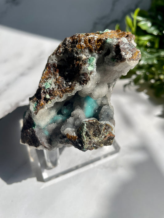 Chrysocolla Druzy Specimen