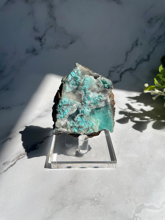 Chrysocolla Druzy Specimen