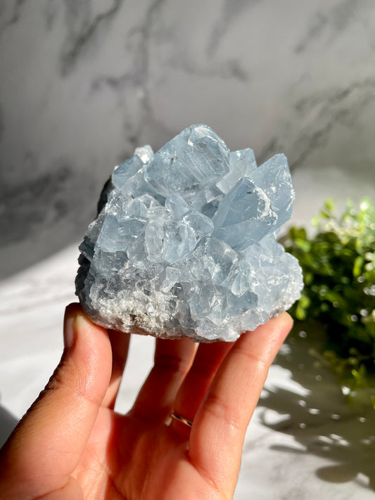 Blue Celestite Cluster Specimen