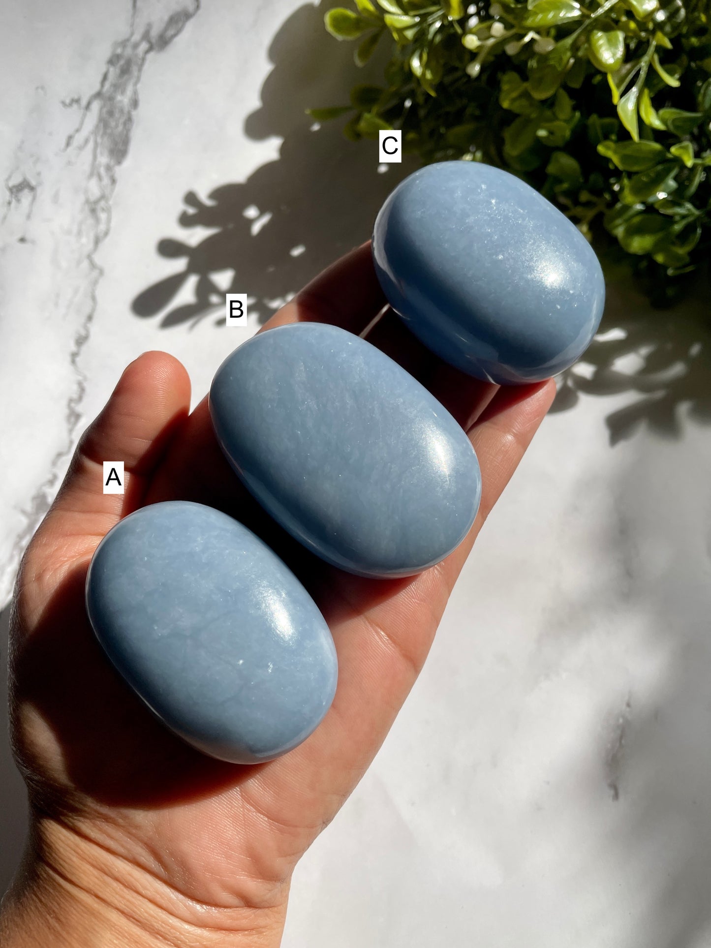 Angelite Polished Palm Stones