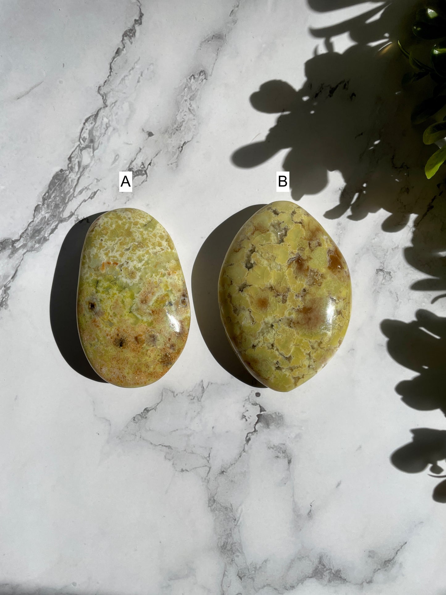 Green Opal Palm Stones