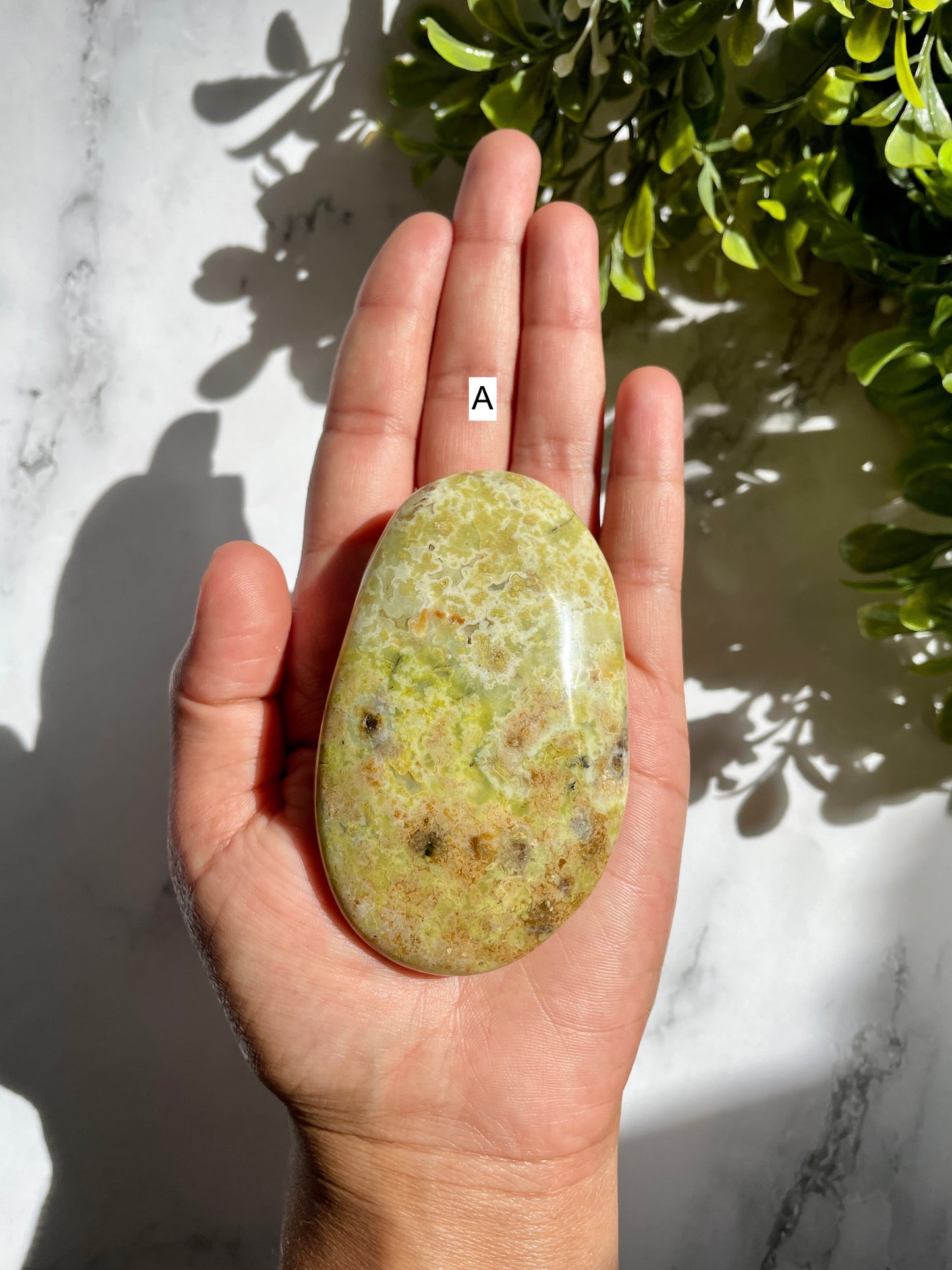 Green Opal Palm Stones