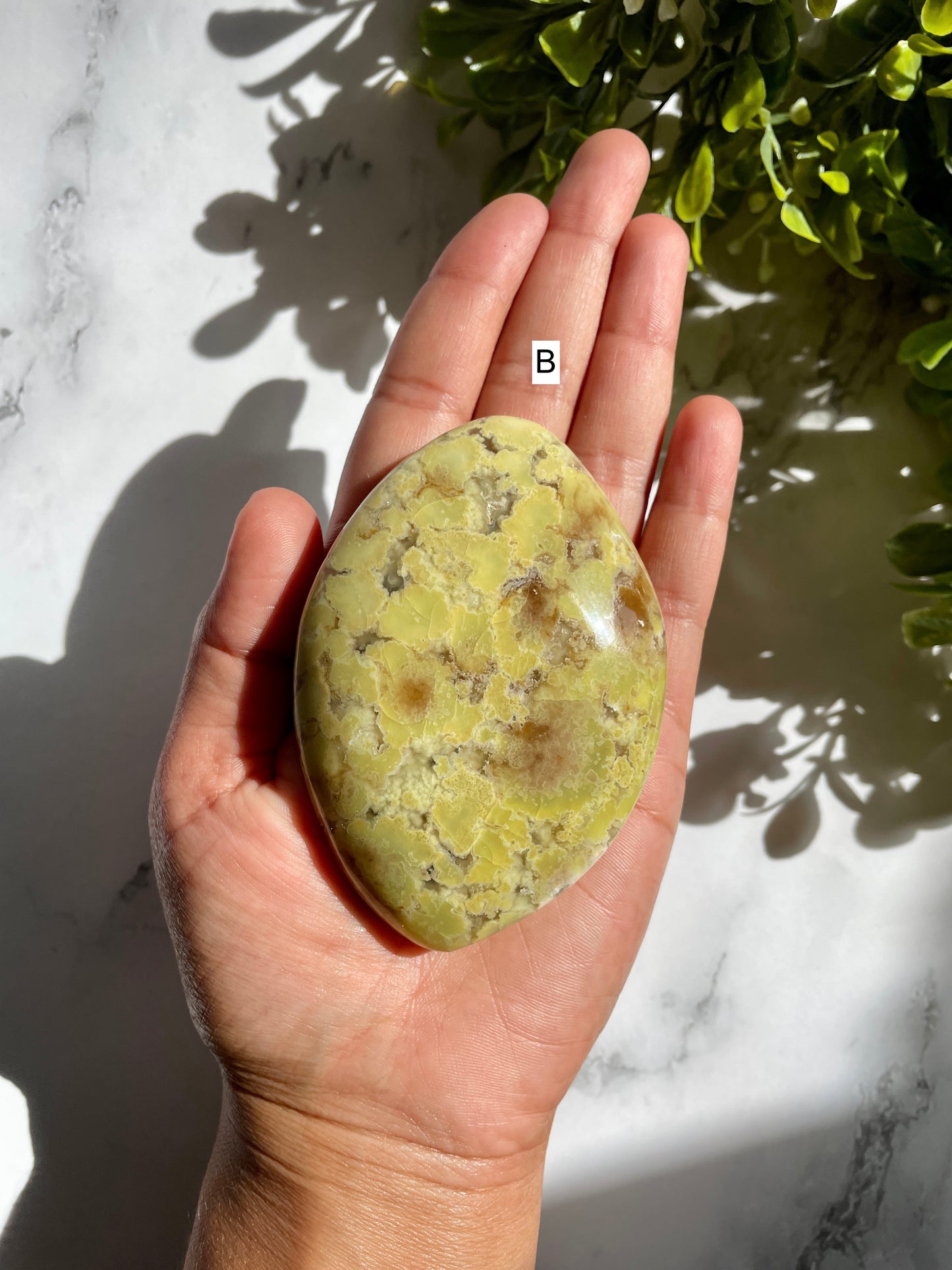 Green Opal Palm Stones