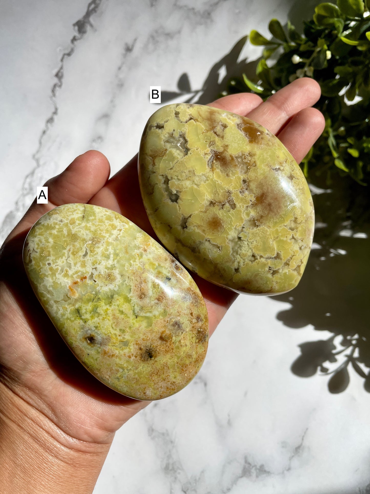 Green Opal Palm Stones