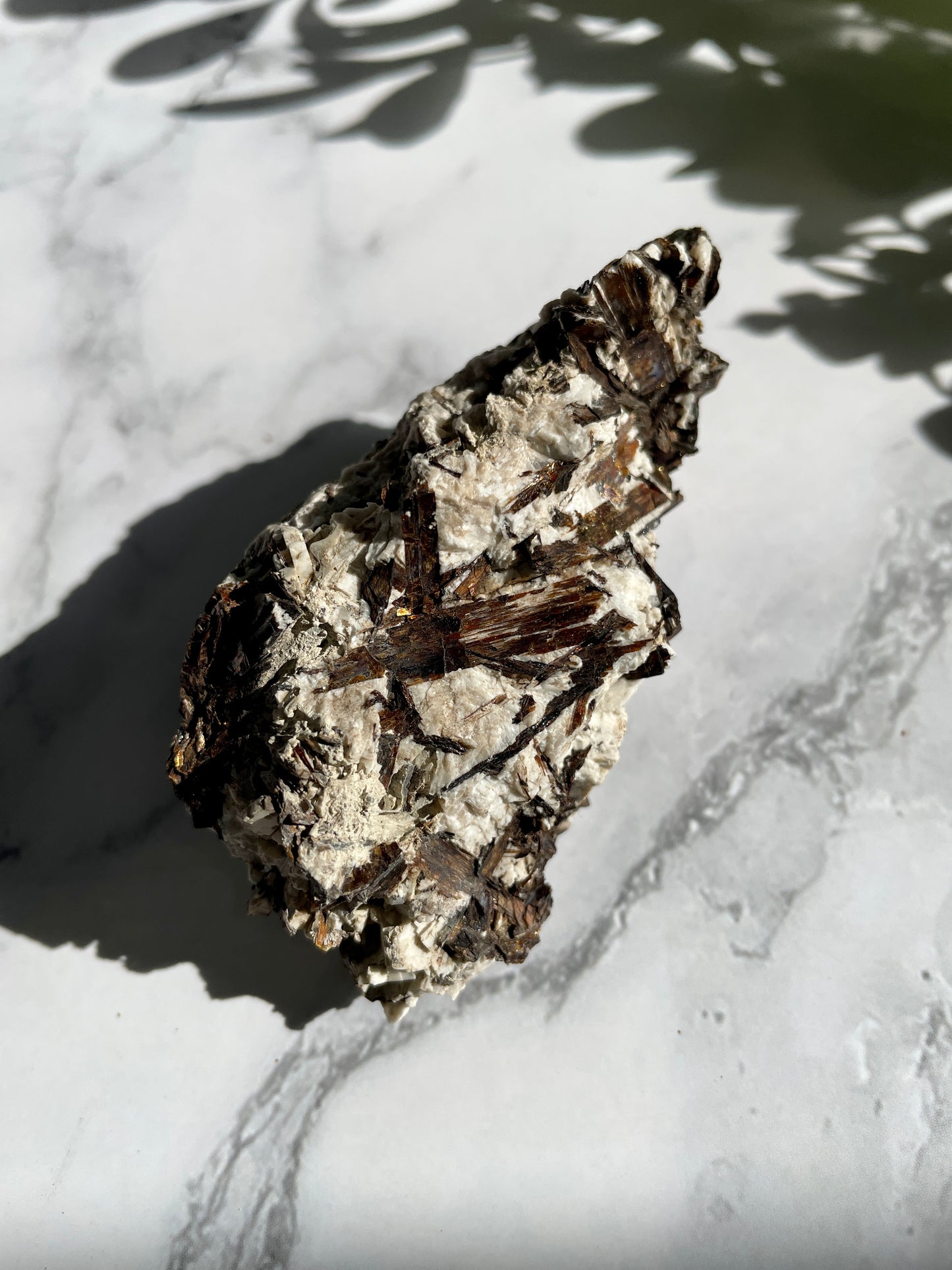 RARE Astrophyllite Specimen - E