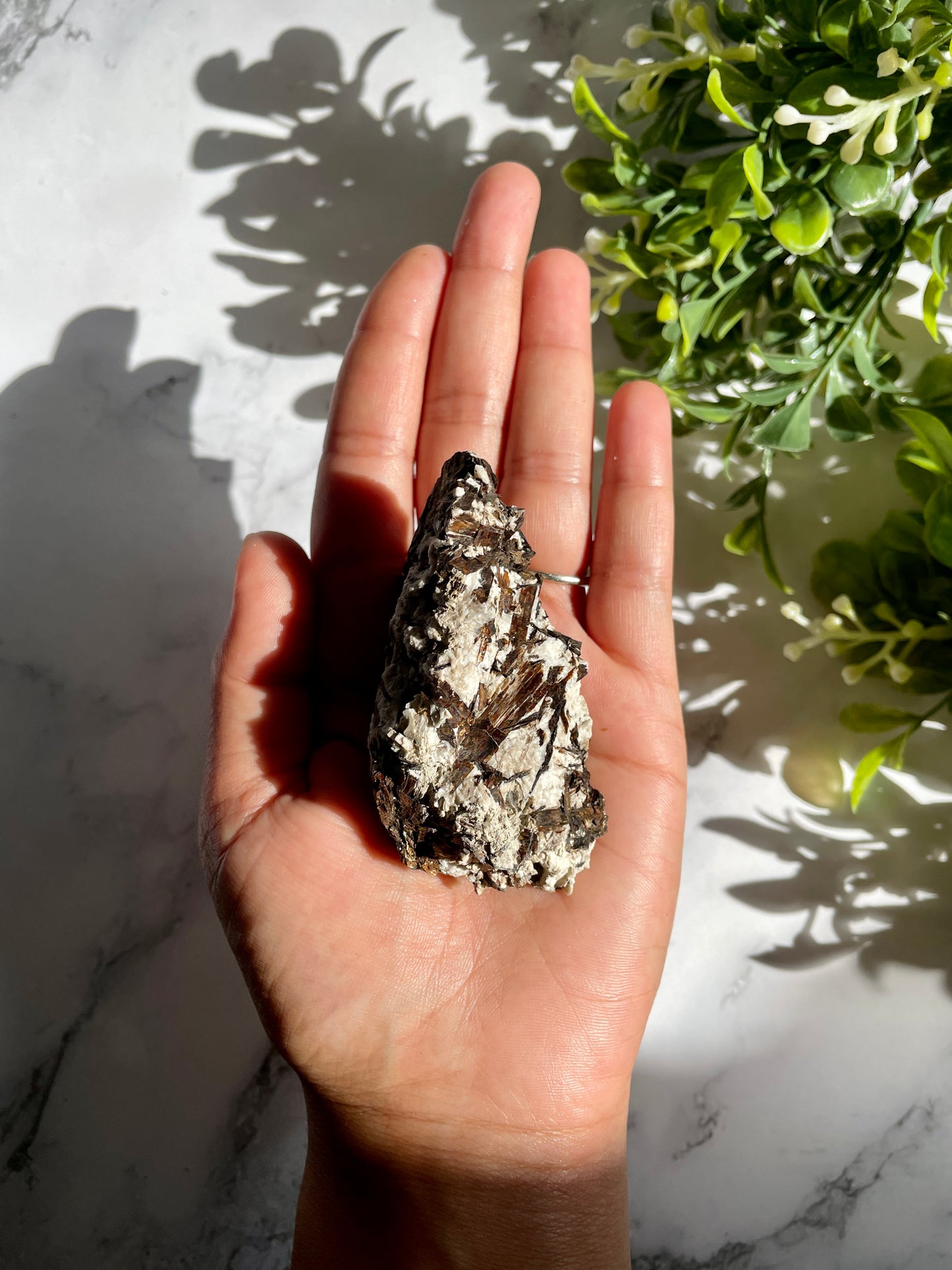 RARE Astrophyllite Specimen - E