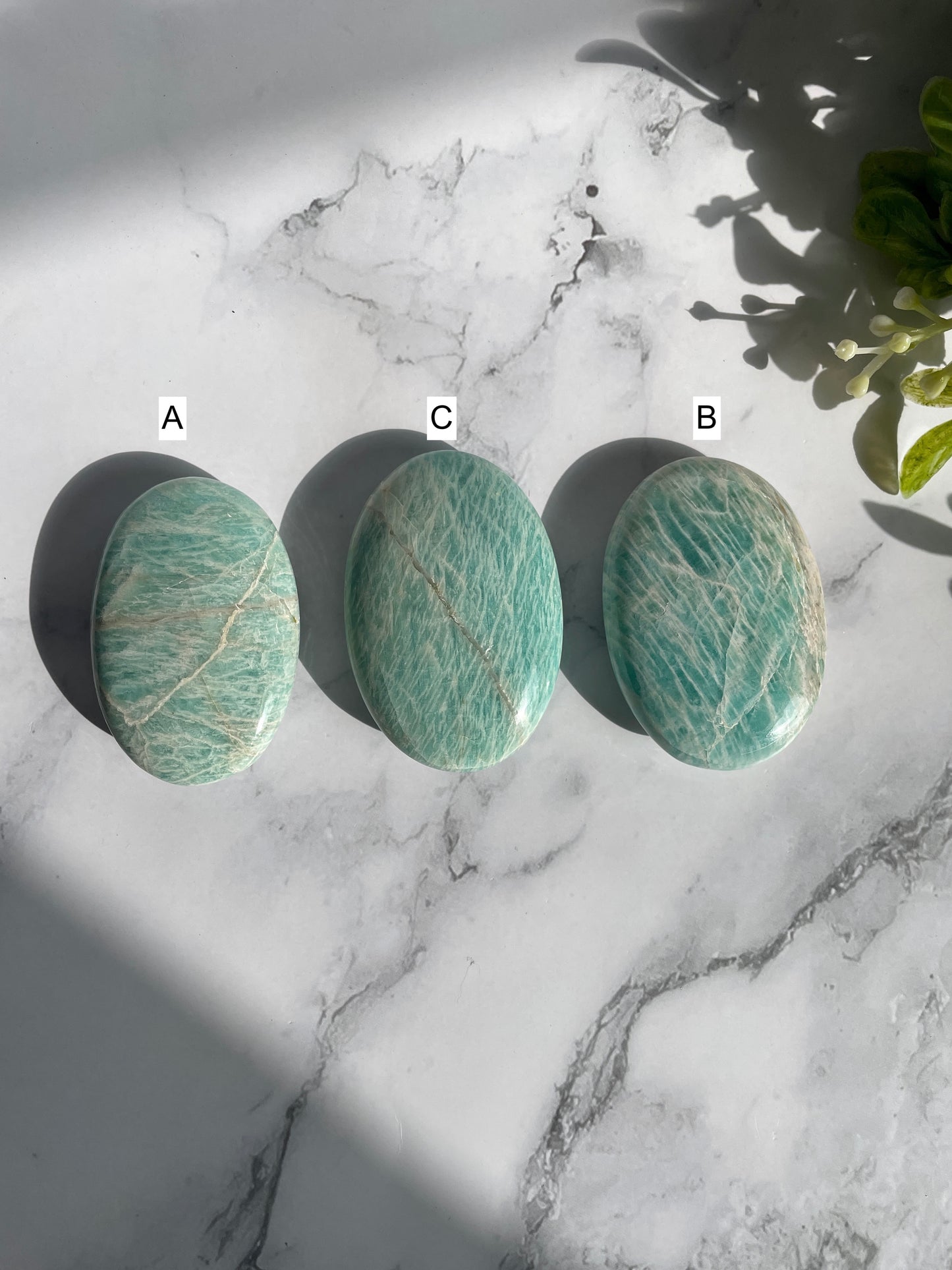 Amazonite Palm Stones