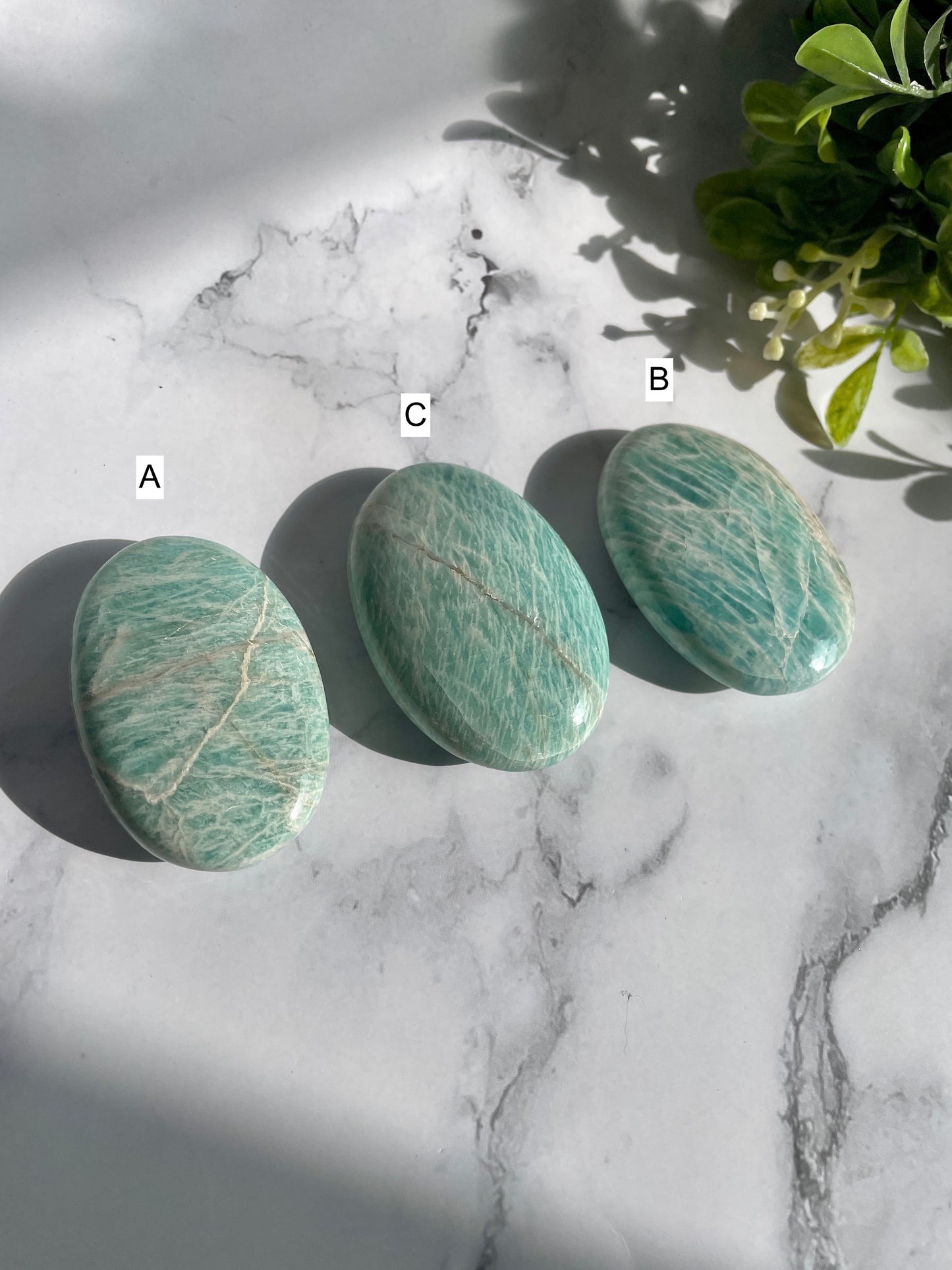 Amazonite Palm Stones