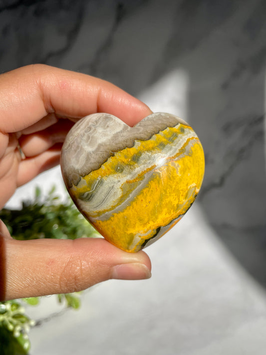 Bumblebee Jasper Heart