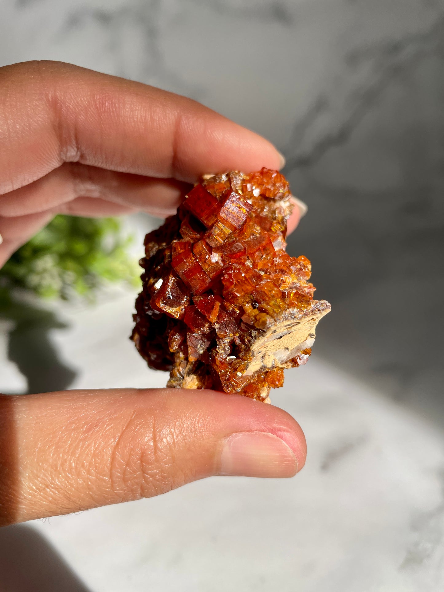 Vanadinite On Matrix Specimen - A