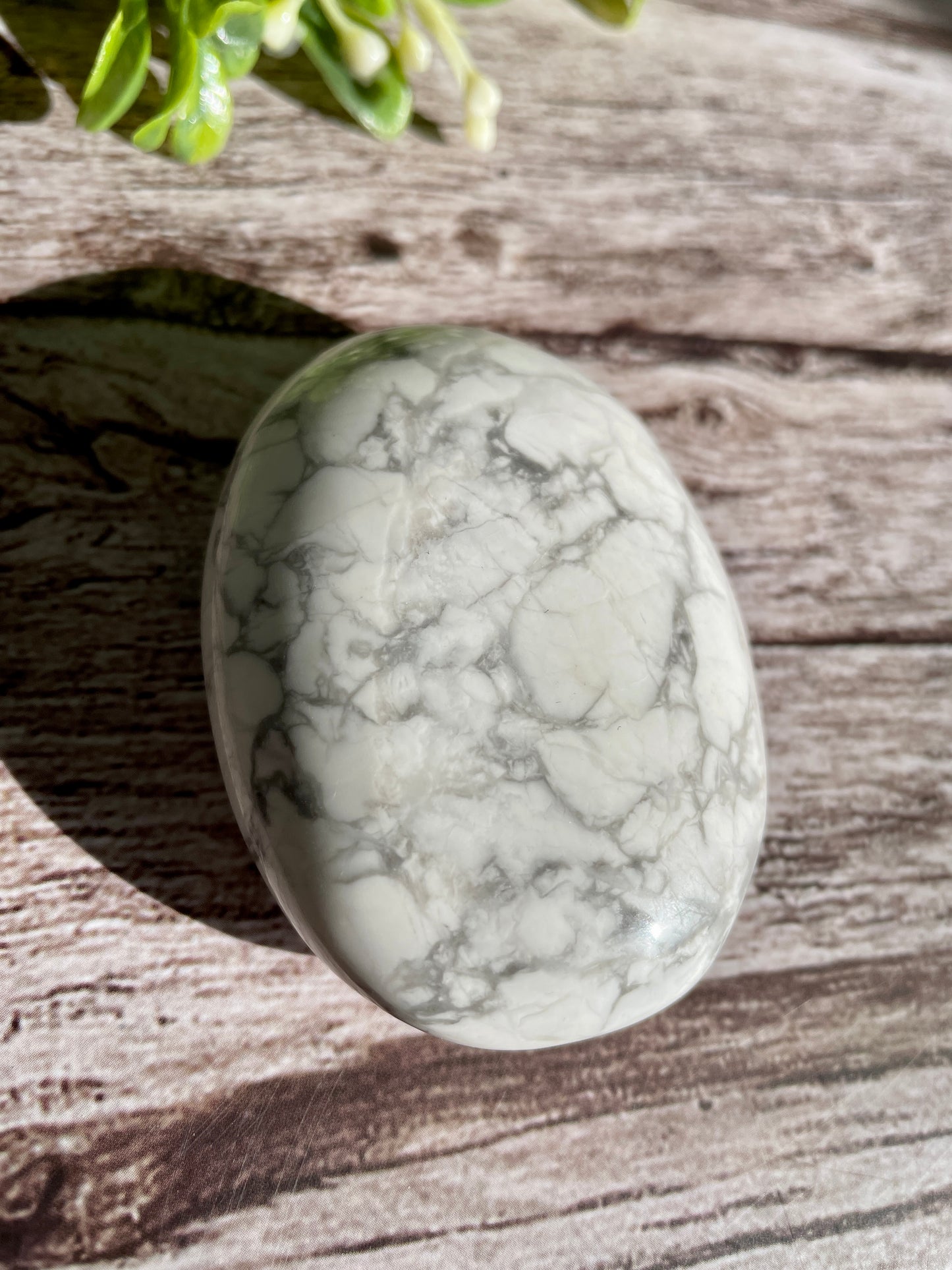 Howlite Palm Stone