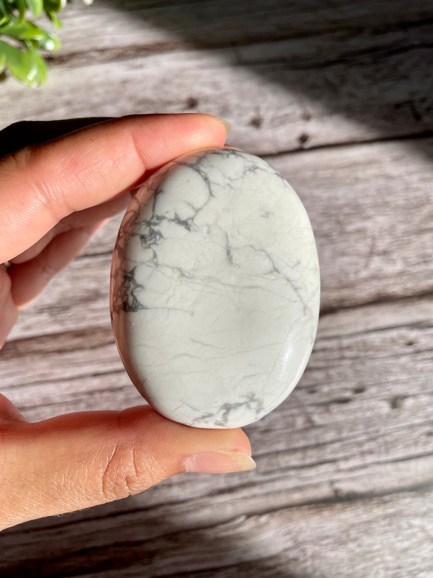 Howlite Palm Stone