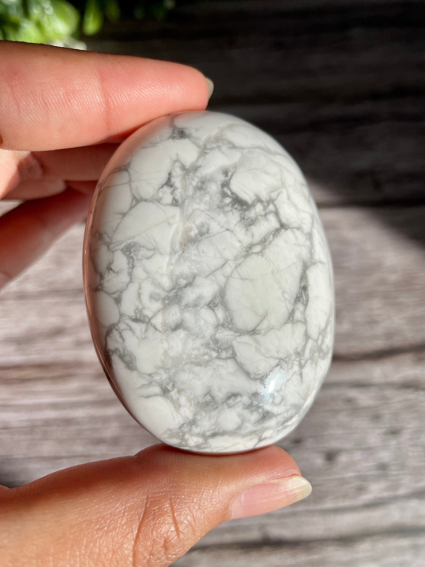 Howlite Palm Stone