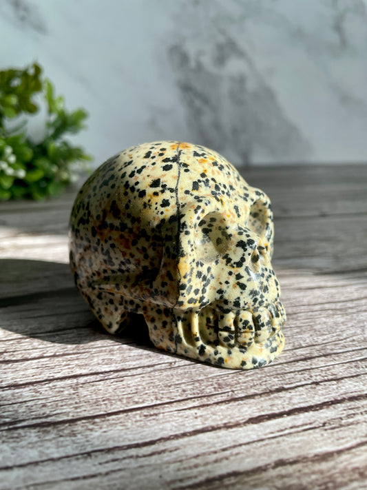 Dalmatian Jasper Skull