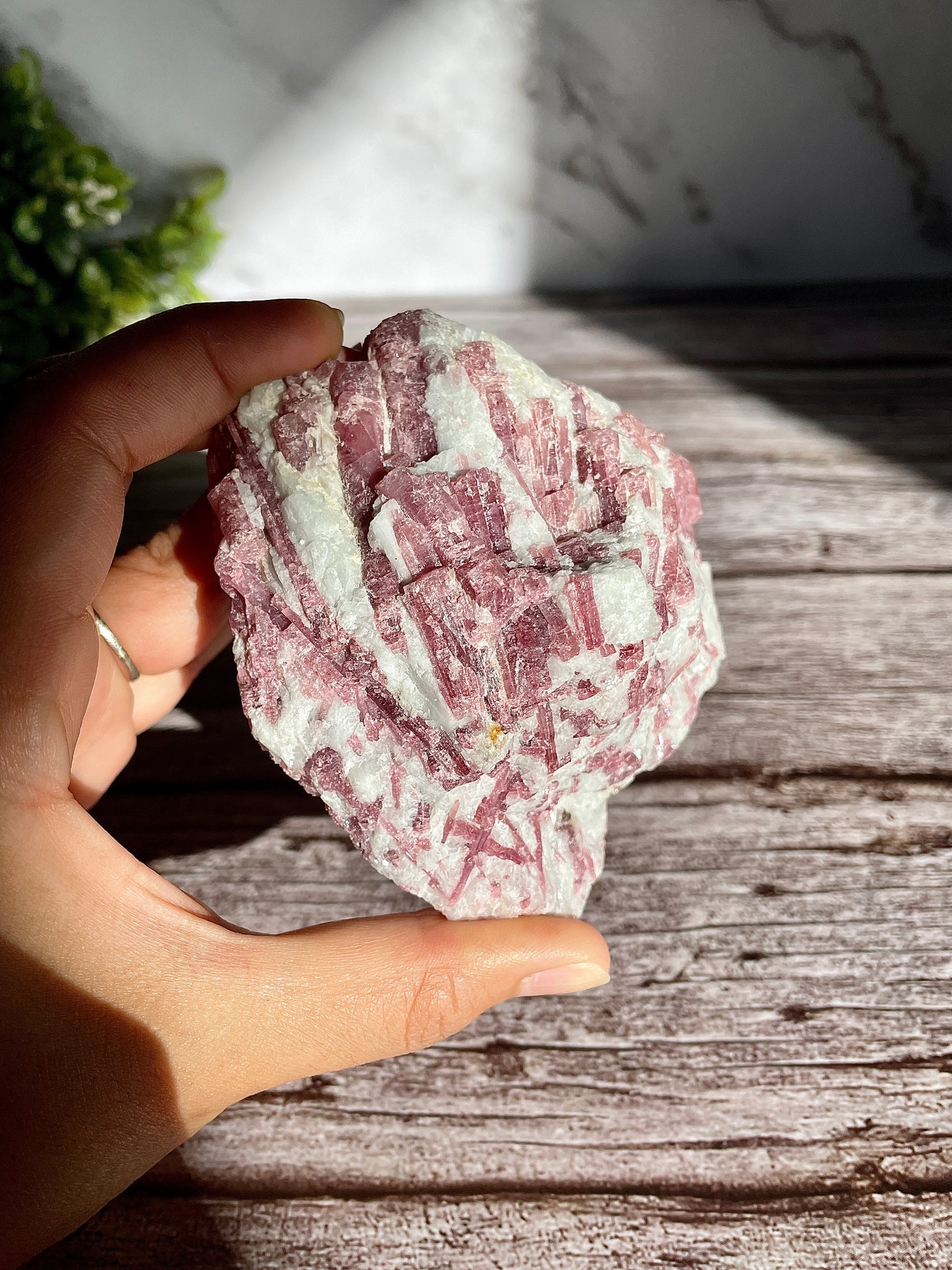 Pink Tourmaline Large Specimen