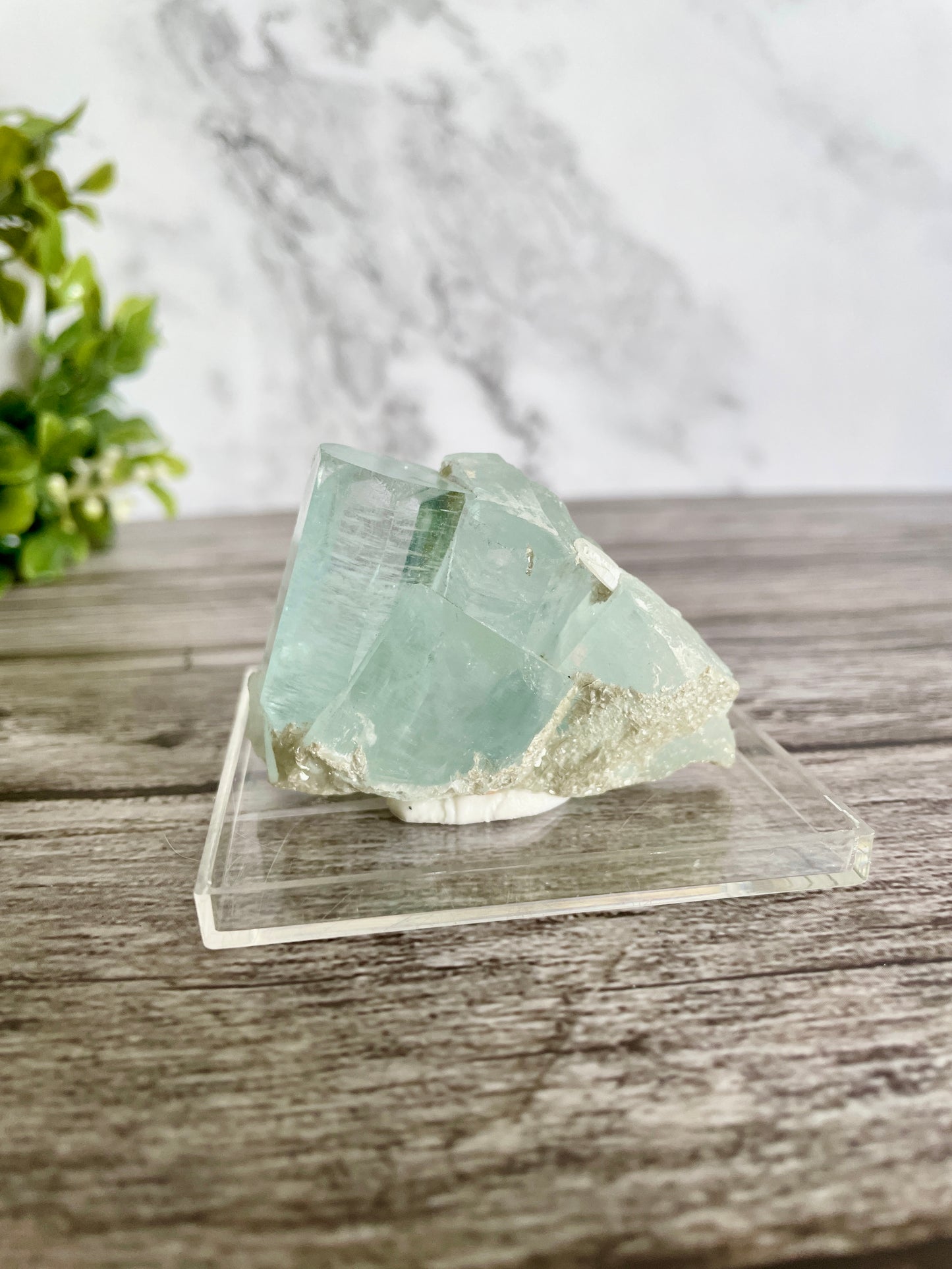 High Quality Aquamarine Cluster