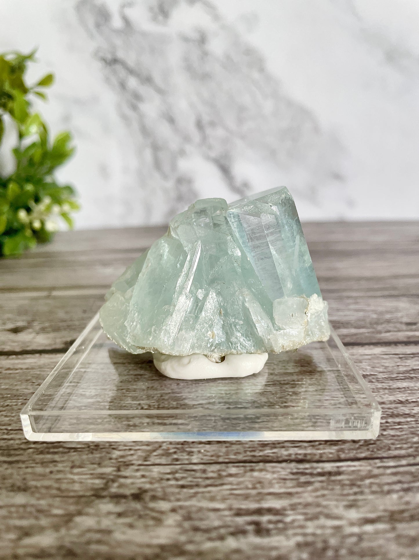 High Quality Aquamarine Cluster