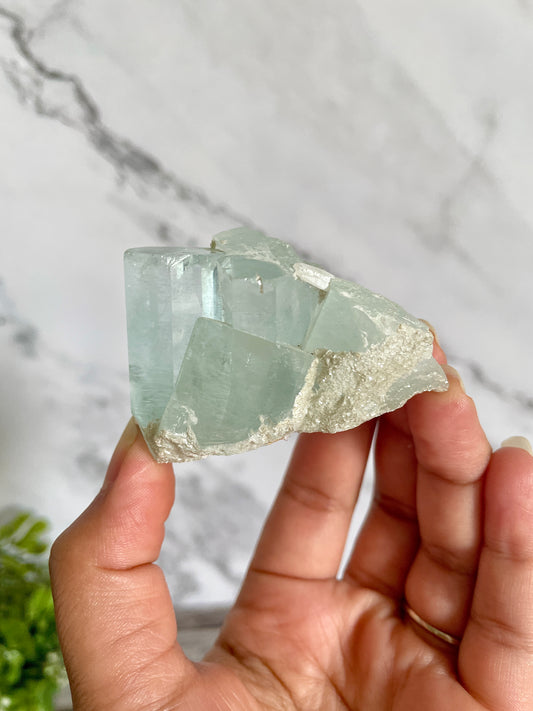 High Quality Aquamarine Cluster