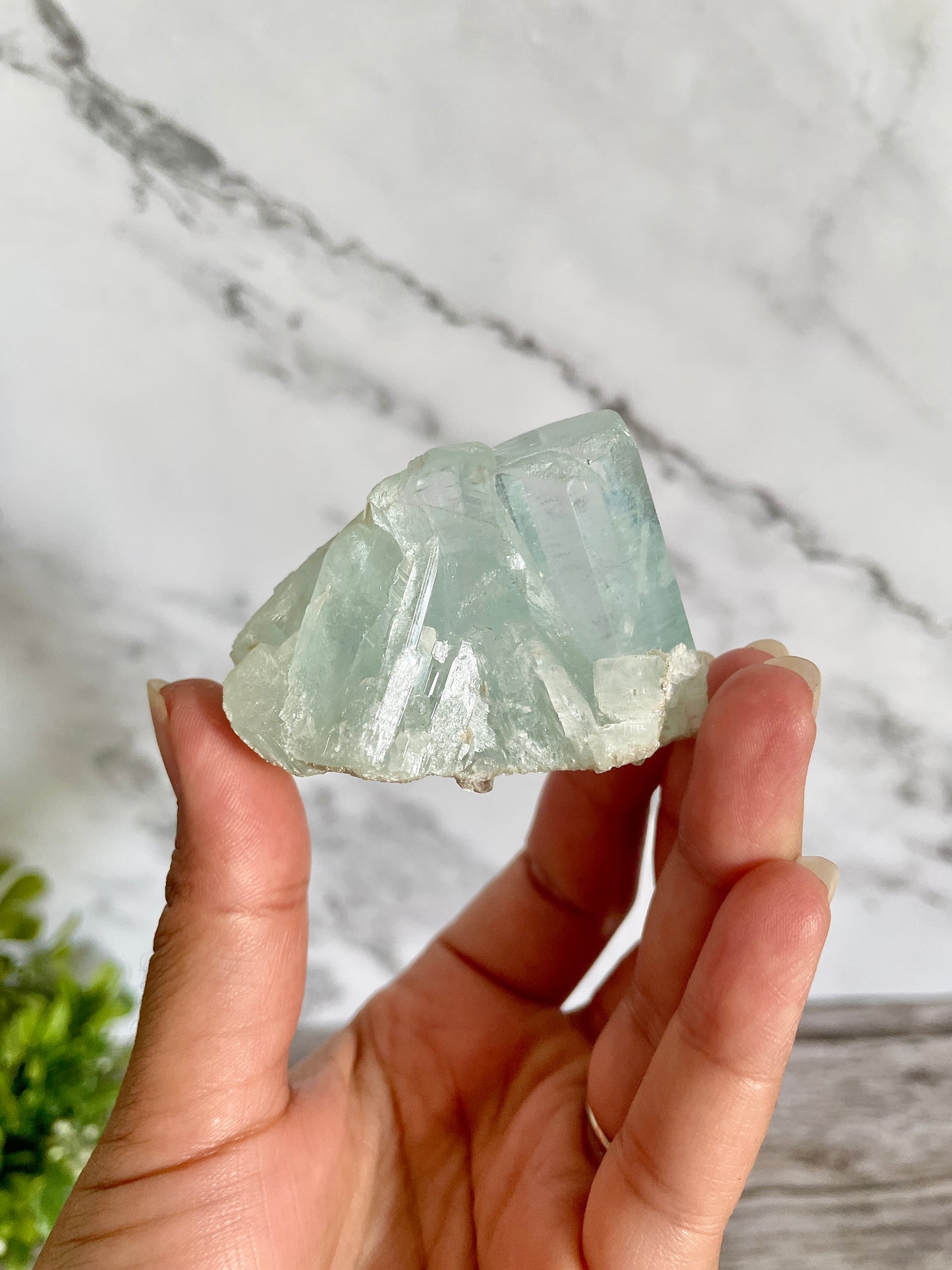 High Quality Aquamarine Cluster