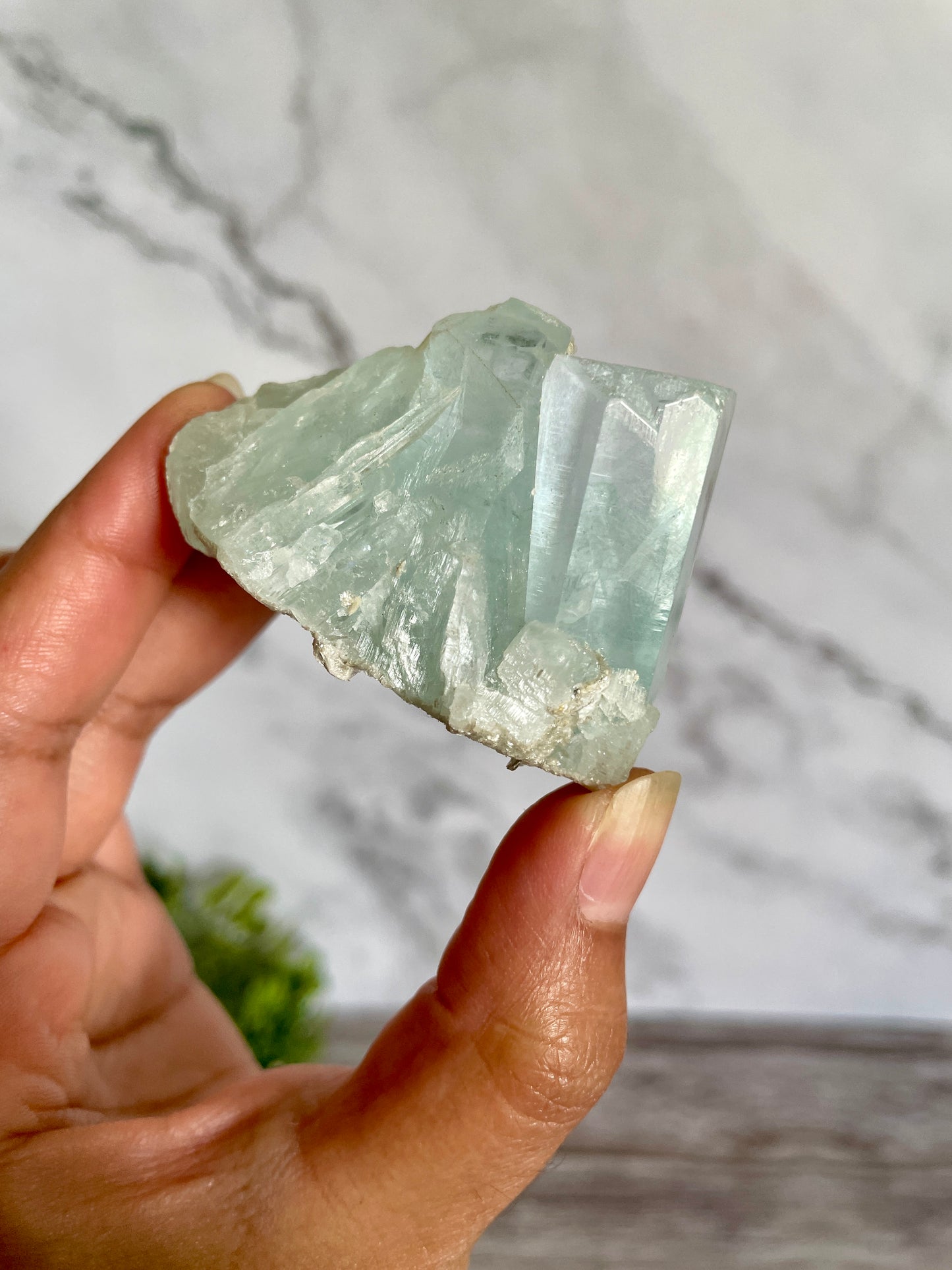 High Quality Aquamarine Cluster