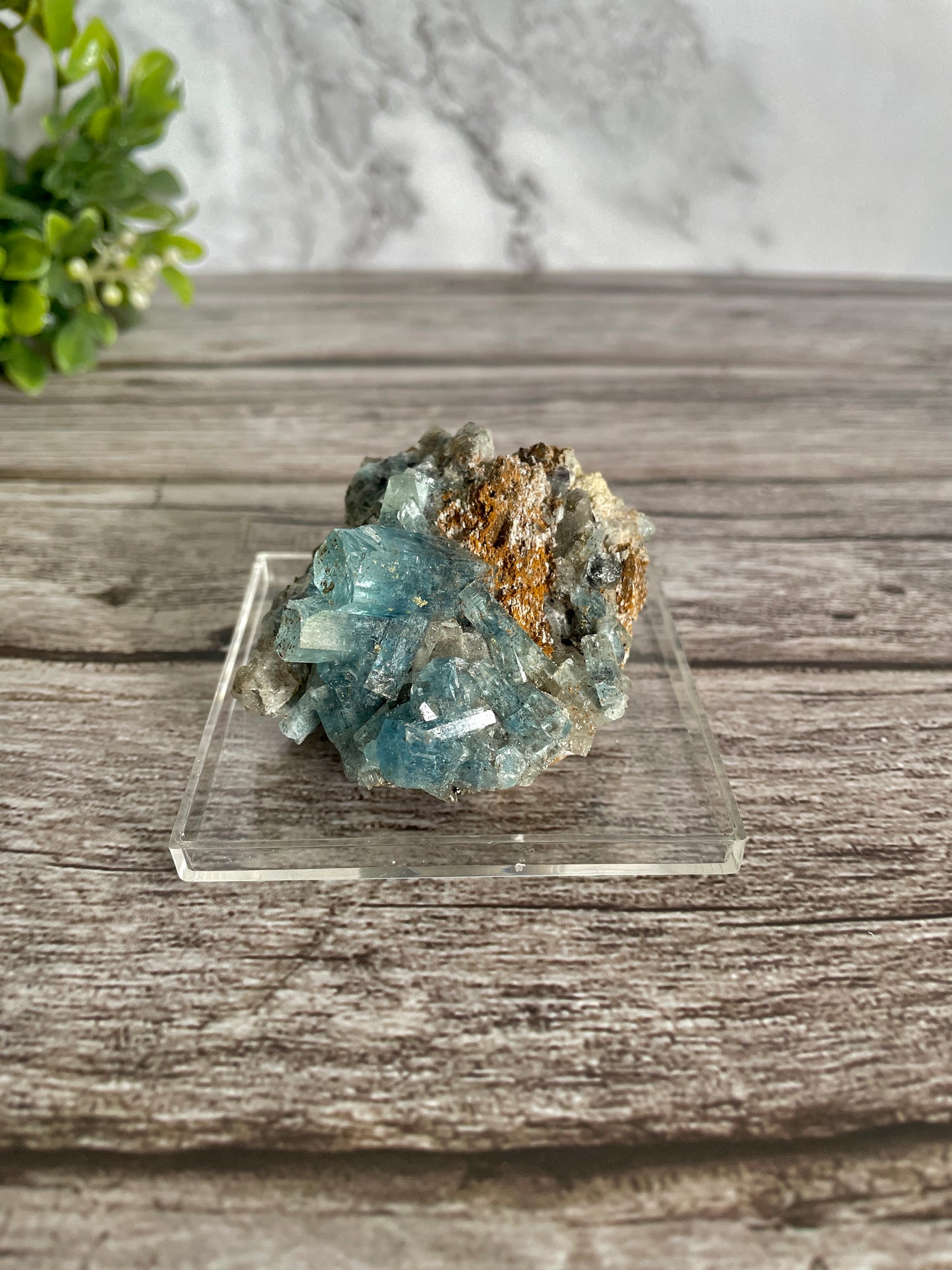 High Quality Deep Blue Aquamarine Cluster On Host Rock