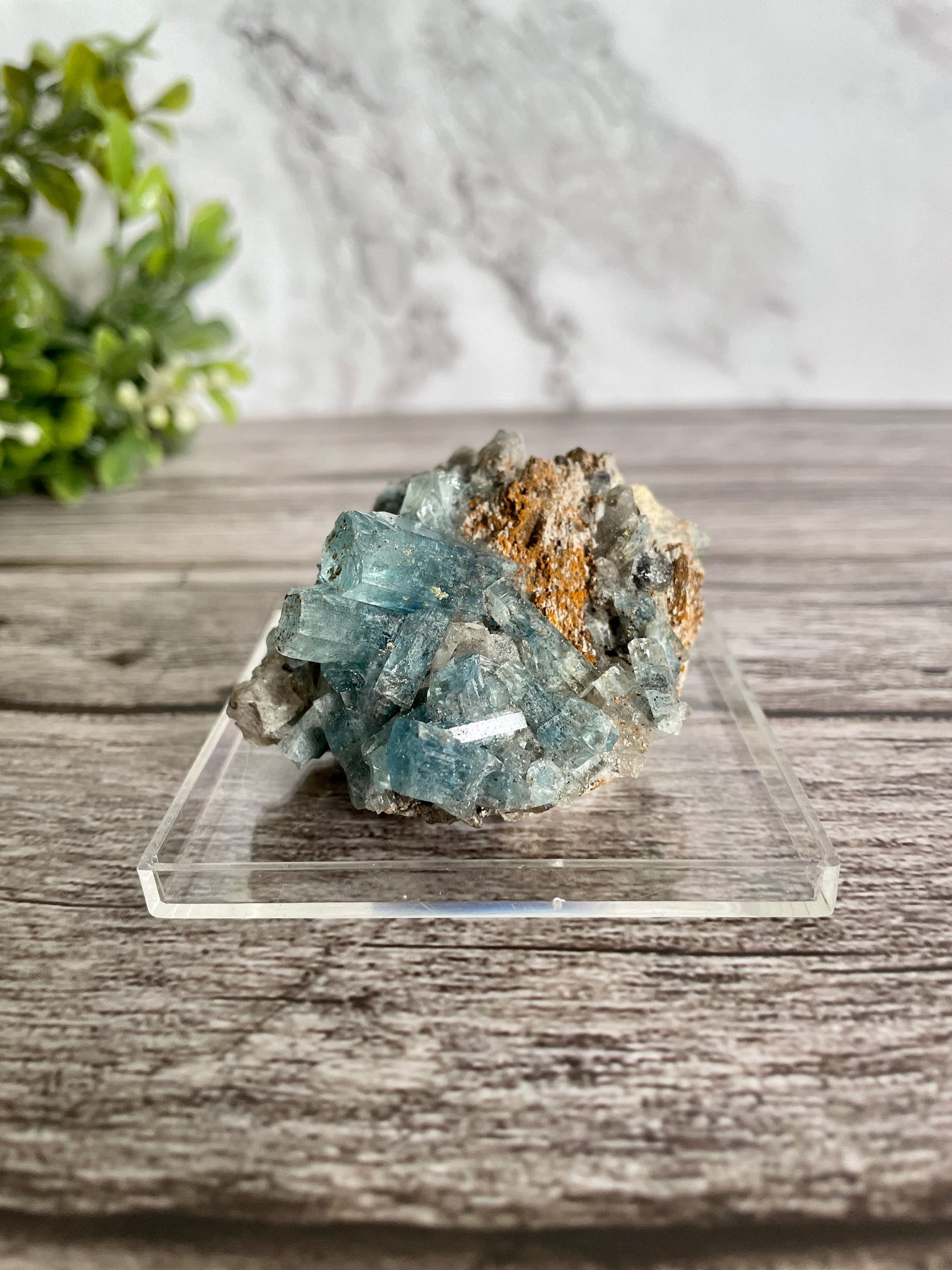 High Quality Deep Blue Aquamarine Cluster On Host Rock