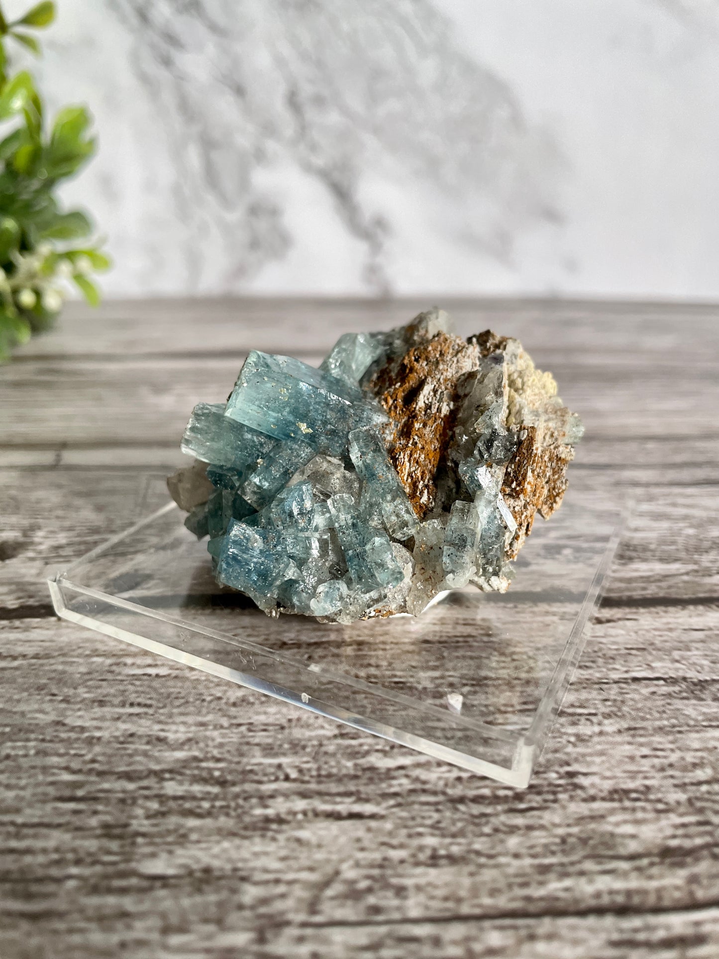 High Quality Deep Blue Aquamarine Cluster On Host Rock