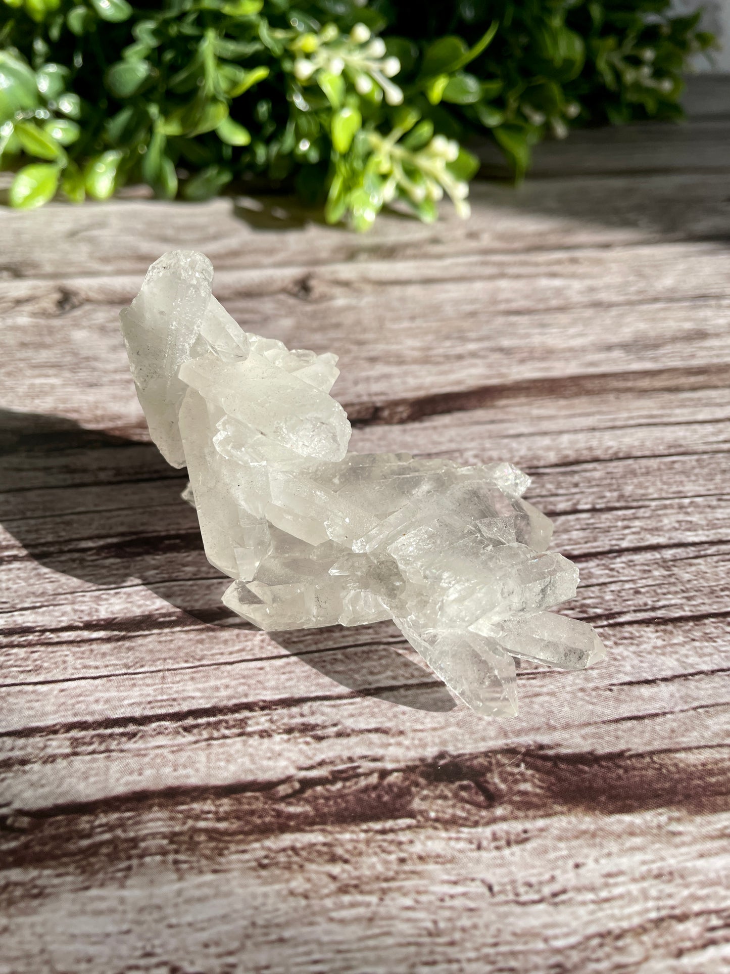 Faden Quartz Raw Cluster