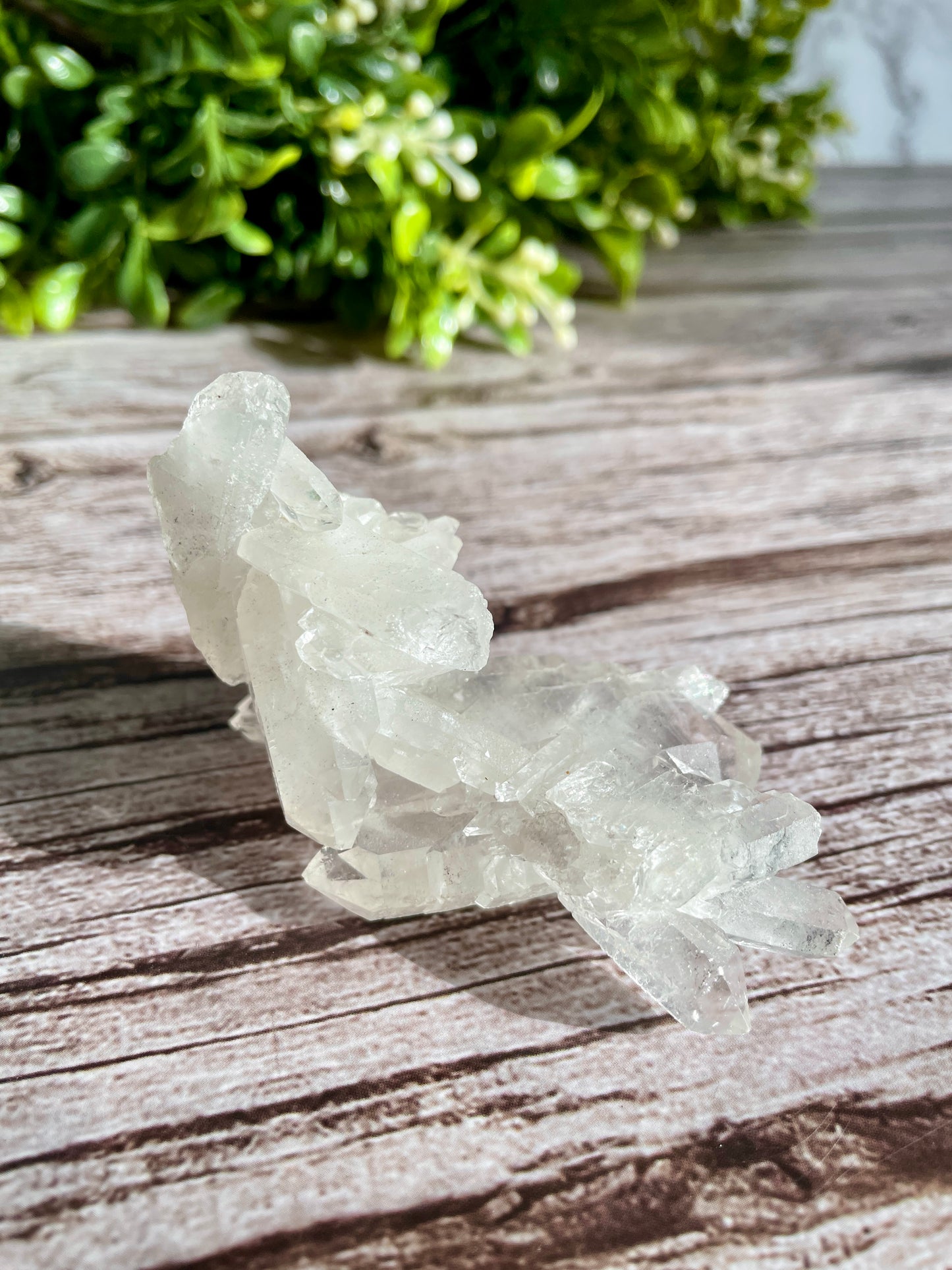 Faden Quartz Raw Cluster