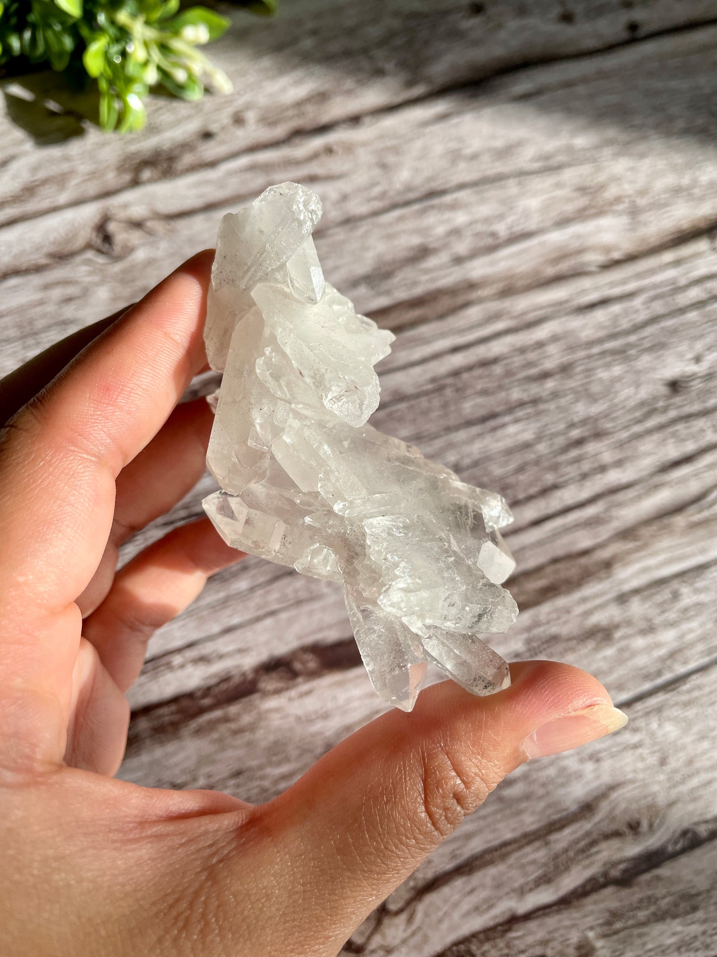 Faden Quartz Raw Cluster